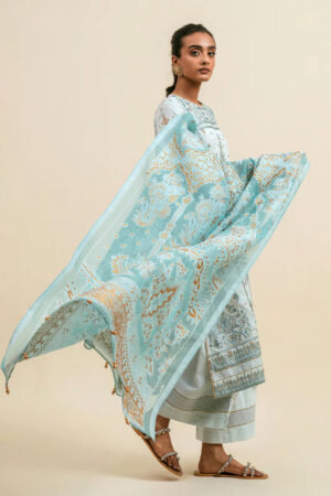 Beechtree Unstitched Collection “Arctic Aura”