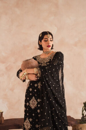 Haseen’s Chiffon Ready To Wear Gharara...