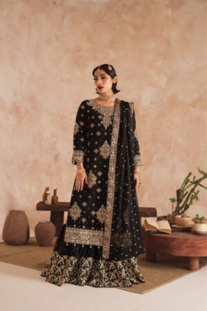 Haseen’s Chiffon Ready To Wear Gharara...